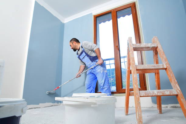 Best Basement Mold Removal  in Delaware, OH
