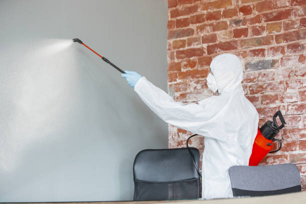 Mold Odor Removal Services in Delaware, OH