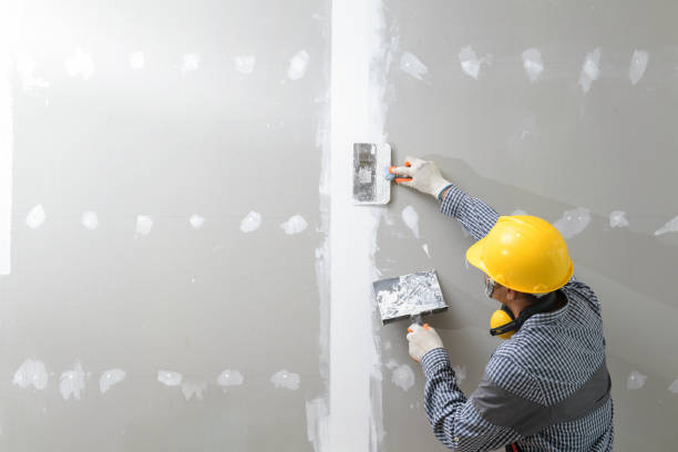 Best Mold Removal for HVAC Installations  in Delaware, OH
