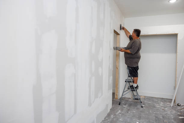 Best Attic Mold Removal  in Delaware, OH