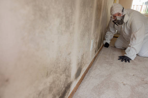 Best Asbestos and Lead Testing During Mold Inspection  in Delaware, OH