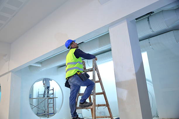 Best Biohazard Mold Removal  in Delaware, OH