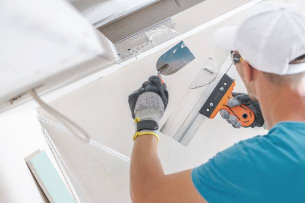 Best Crawl Space Mold Remediation  in Delaware, OH